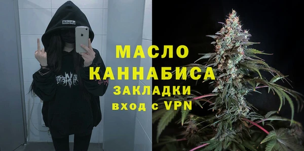 индика Покров